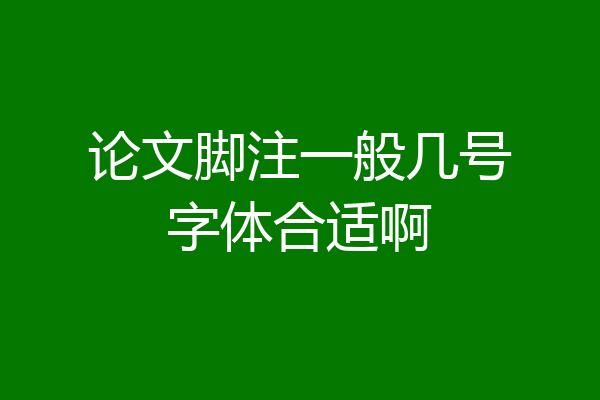 论文脚注一般几号字体合适啊