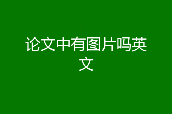 论文中有图片吗英文