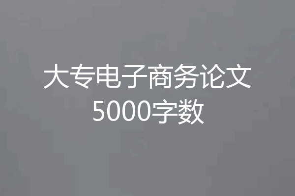 大专电子商务论文5000字数