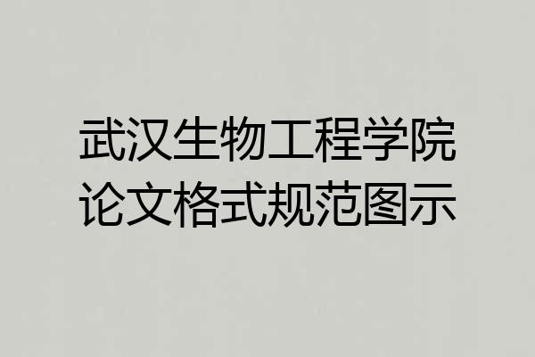 武汉生物工程学院论文格式规范图示