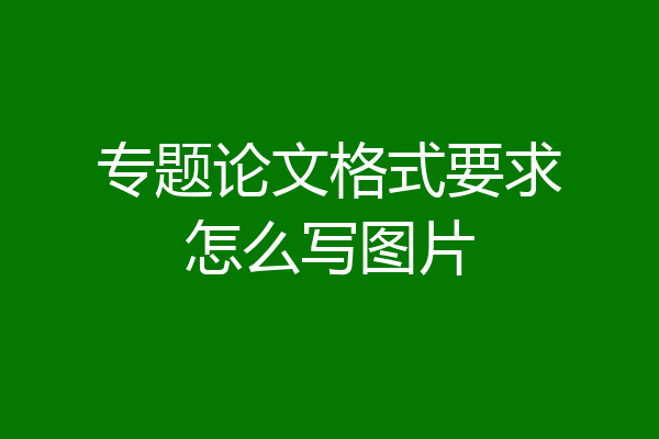 专题论文格式要求怎么写图片