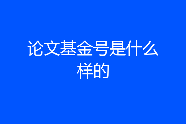 论文基金号是什么样的