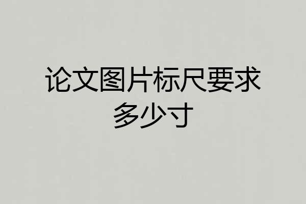 论文图片标尺要求多少寸