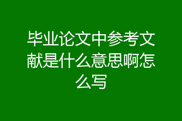 毕业论文中参考文献是什么意思啊怎么写
