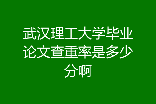 武汉理工大学毕业论文查重率是多少分啊