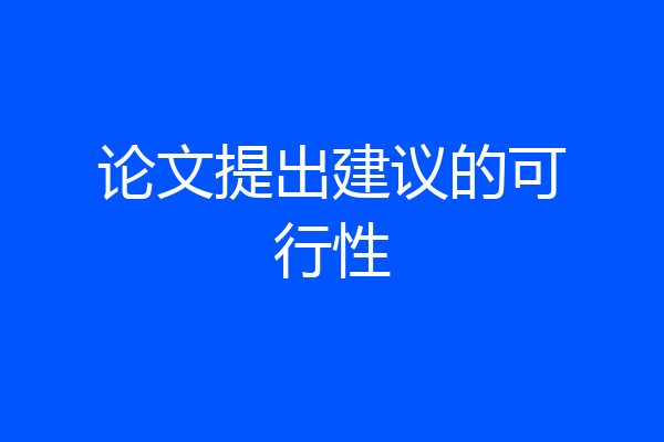 论文提出建议的可行性