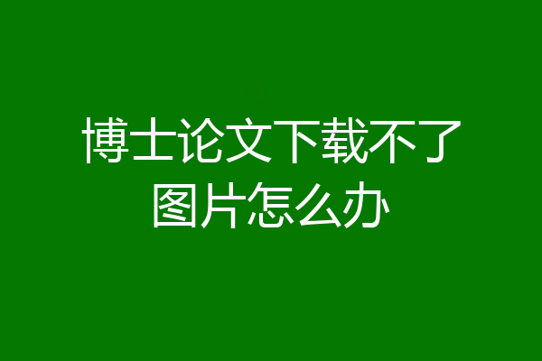 博士论文下载不了图片怎么办