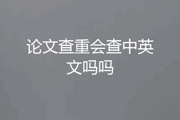 论文查重会查中英文吗吗