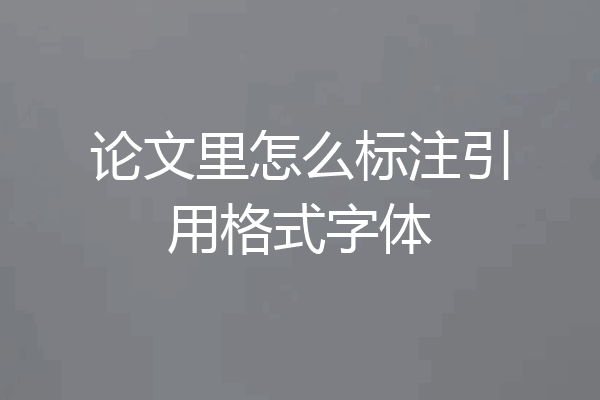 论文里怎么标注引用格式字体