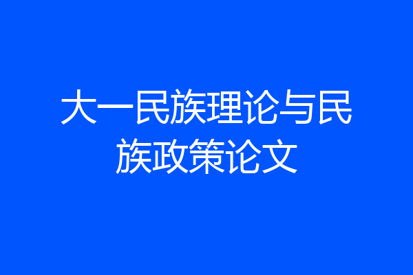 大一民族理论与民族政策论文