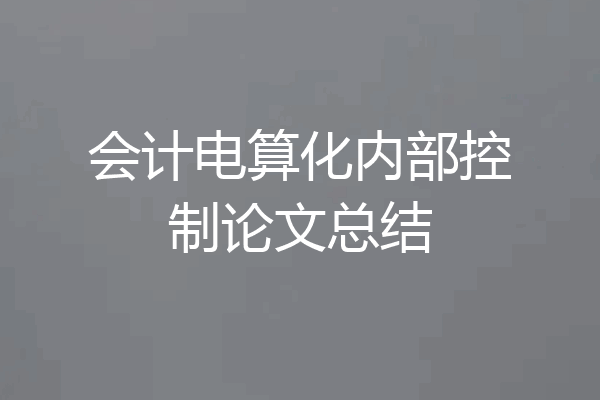 会计电算化内部控制论文总结