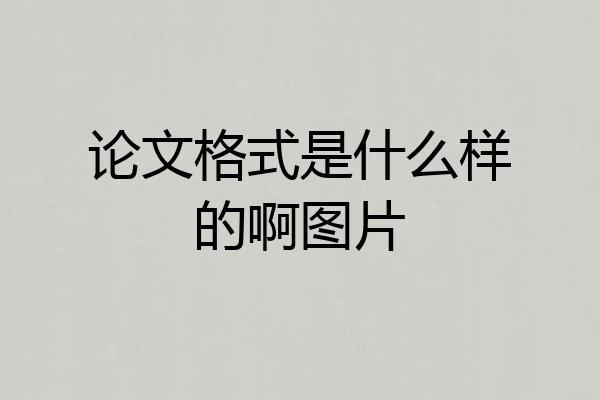 论文格式是什么样的啊图片