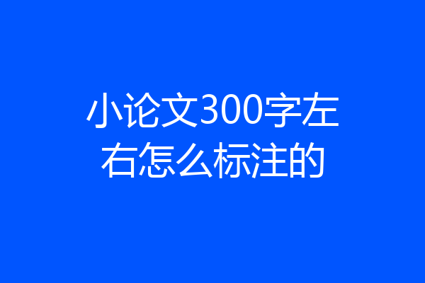 小论文300字左右怎么标注的