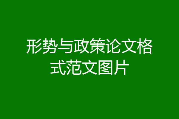 形势与政策论文格式范文图片