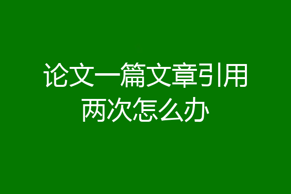 论文一篇文章引用两次怎么办