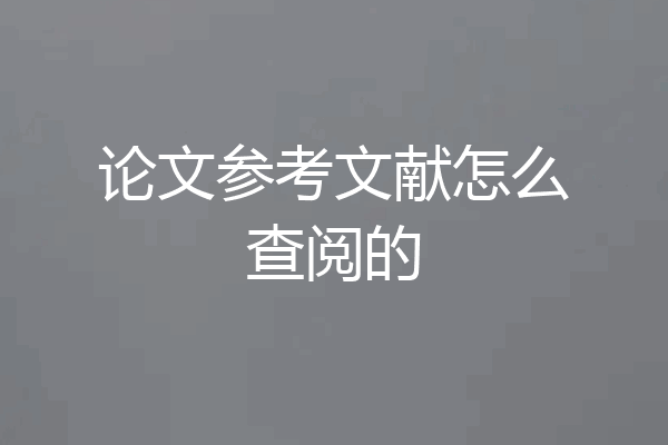 论文参考文献怎么查阅的