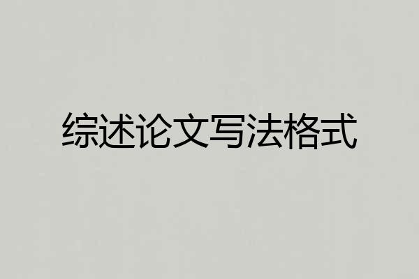 综述论文写法格式