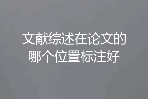 文献综述在论文的哪个位置标注好