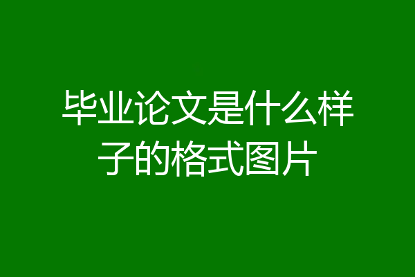 毕业论文是什么样子的格式图片