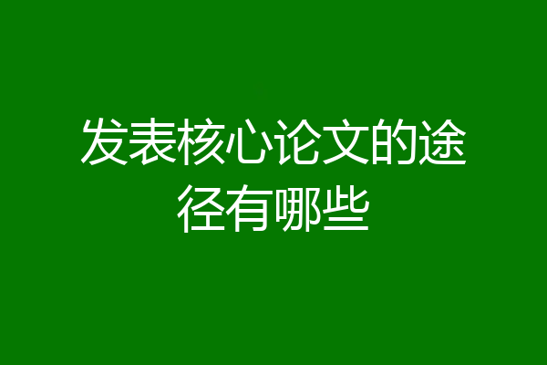 发表核心论文的途径有哪些