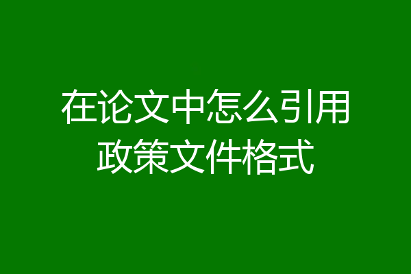 在论文中怎么引用政策文件格式