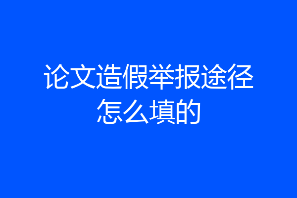 论文造假举报途径怎么填的