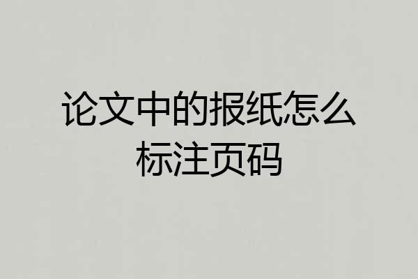 论文中的报纸怎么标注页码
