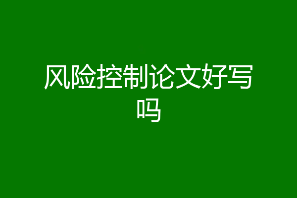 风险控制论文好写吗