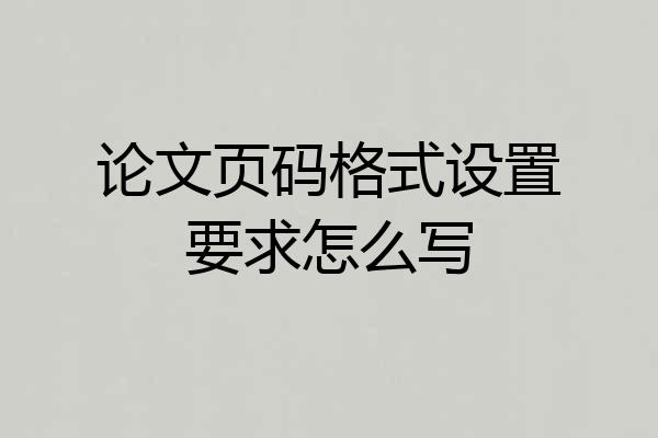 论文页码格式设置要求怎么写