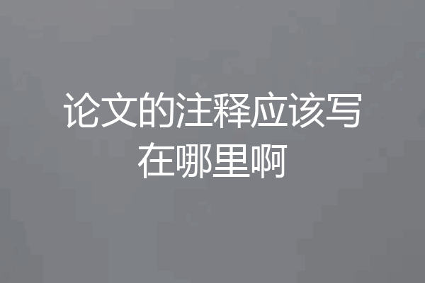 论文的注释应该写在哪里啊