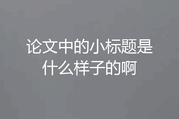 论文中的小标题是什么样子的啊