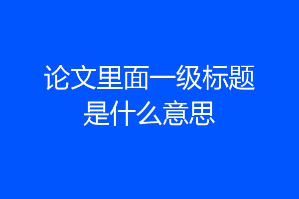 论文里面一级标题是什么意思