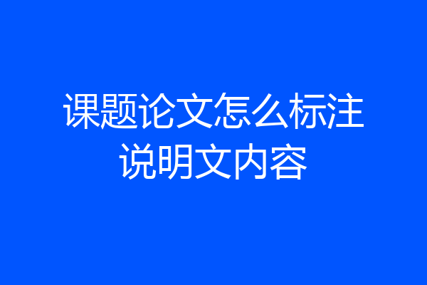 课题论文怎么标注说明文内容