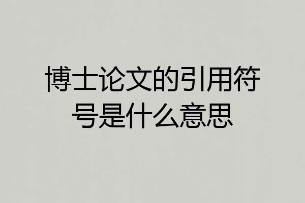 博士论文的引用符号是什么意思
