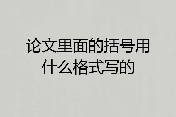 论文里面的括号用什么格式写的