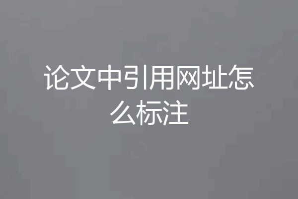 论文中引用网址怎么标注