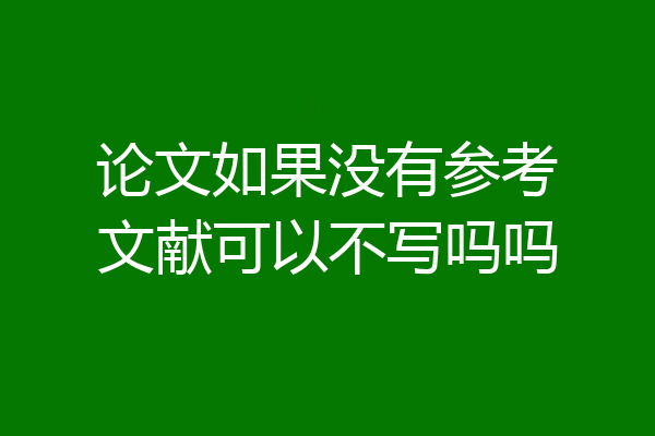 论文如果没有参考文献可以不写吗吗