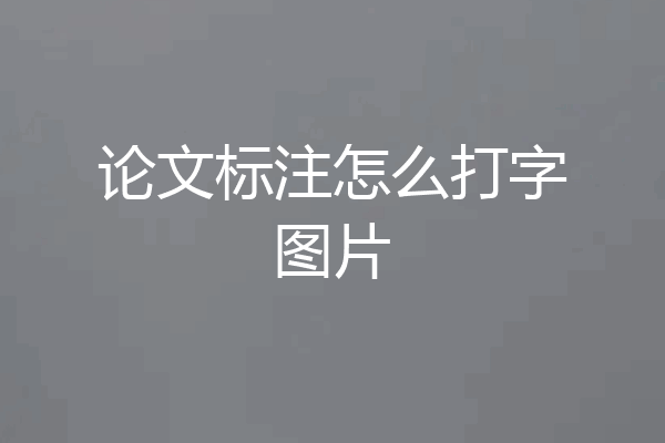 论文标注怎么打字图片