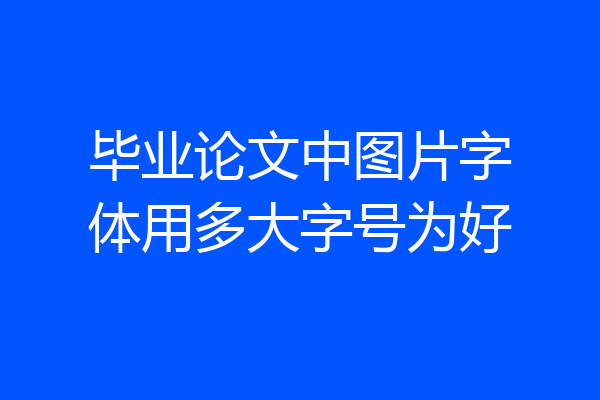 毕业论文中图片字体用多大字号为好