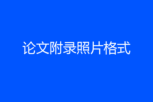 论文附录照片格式