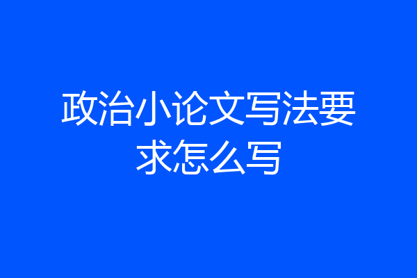 政治小论文写法要求怎么写