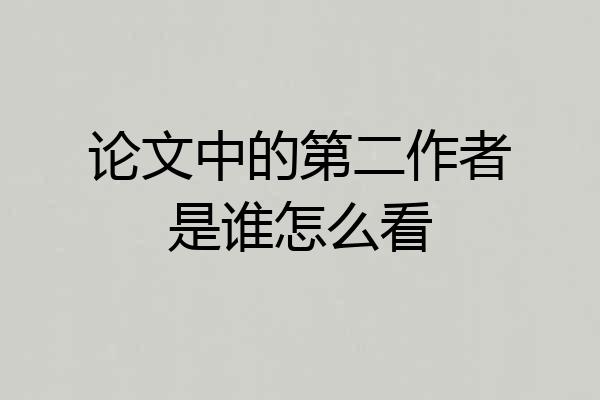 论文中的第二作者是谁怎么看