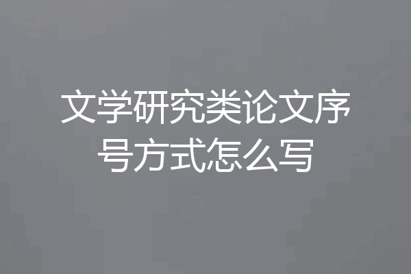 文学研究类论文序号方式怎么写