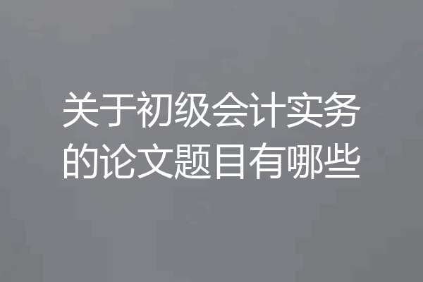 关于初级会计实务的论文题目有哪些
