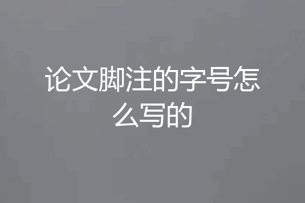 论文脚注的字号怎么写的