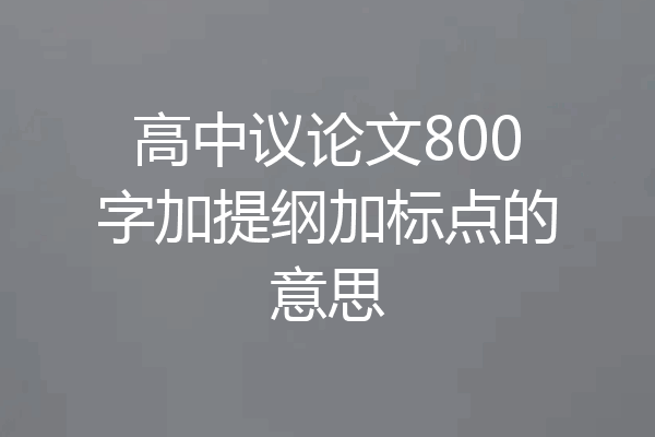 高中议论文800字加提纲加标点的意思