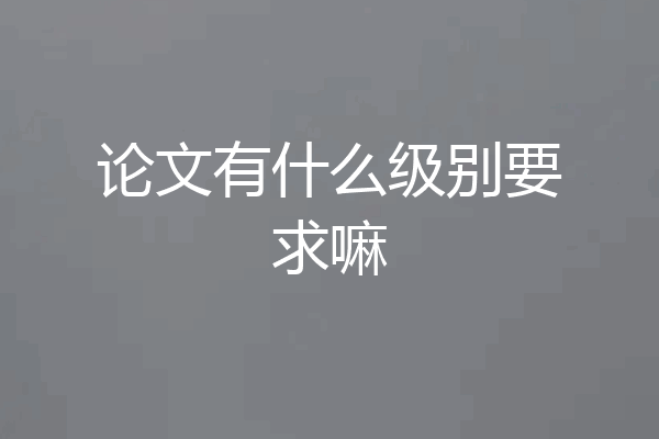 论文有什么级别要求嘛