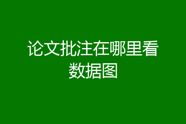 论文批注在哪里看数据图