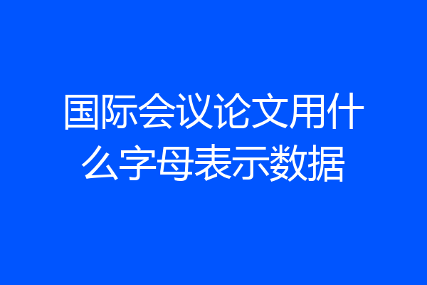 国际会议论文用什么字母表示数据