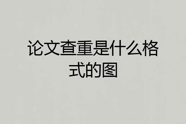 论文查重是什么格式的图